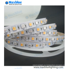 Tira de DC12V / DC24V SMD5050 RGBW SMD LED